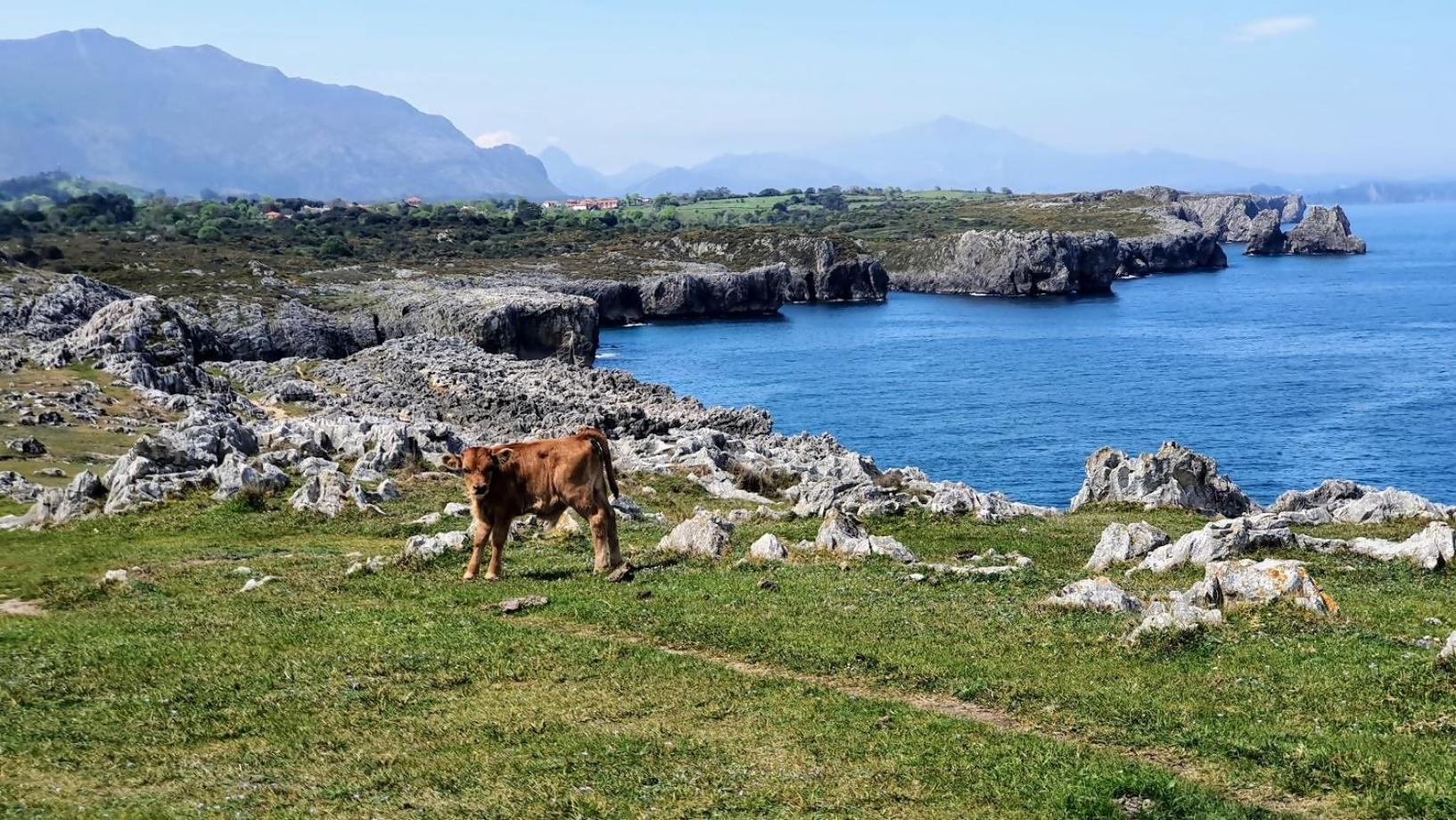 Casa Vacacional Paula Villa Llanes Eksteriør billede