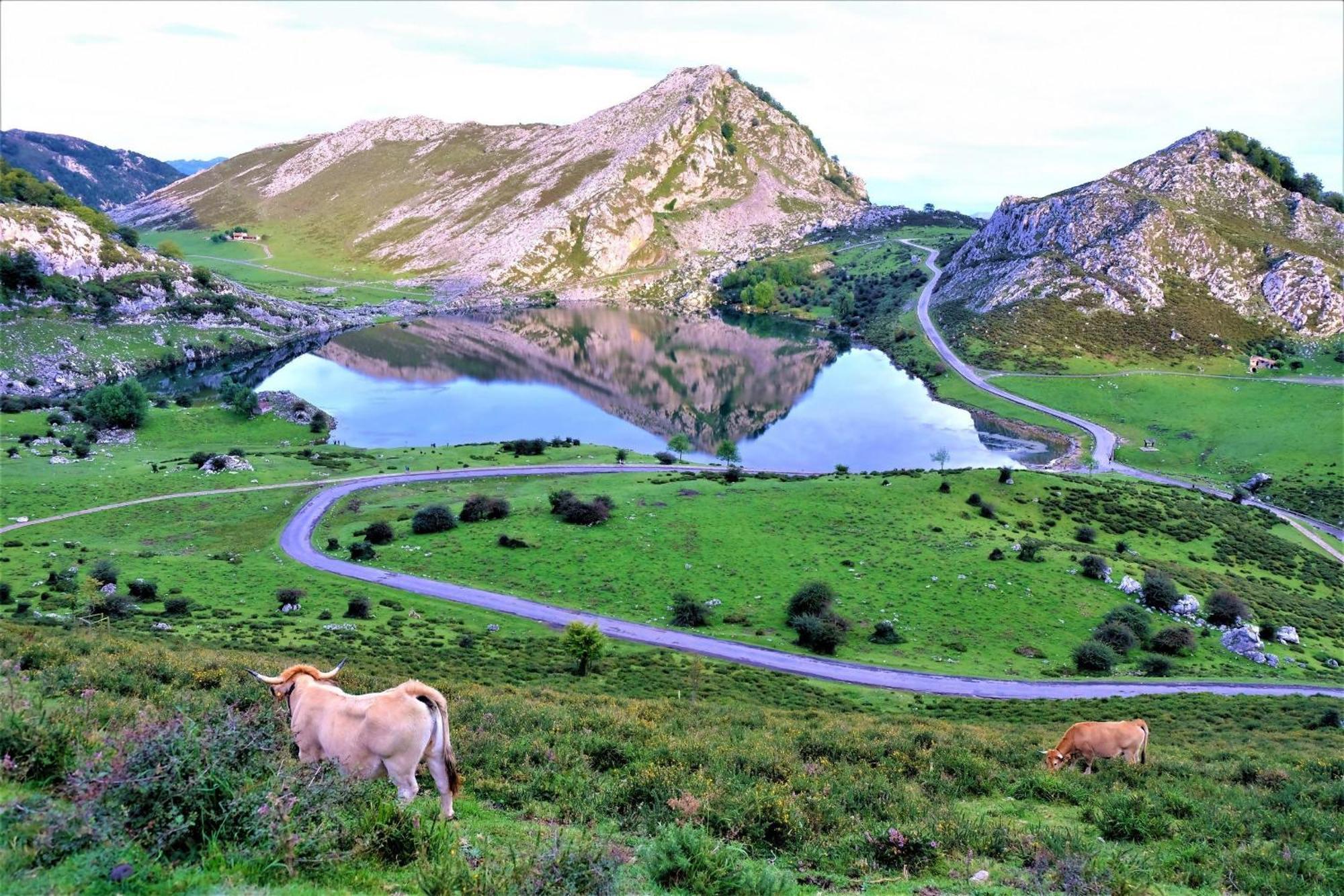 Casa Vacacional Paula Villa Llanes Eksteriør billede